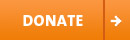 donate button large orange