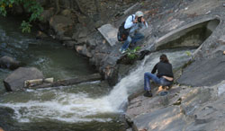 sewage flowing into Saw Mill River, Photo courtesy Bard Porchask