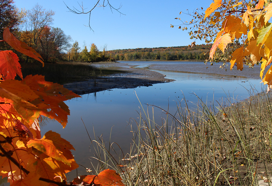Mill Creek, Swyer Preserve