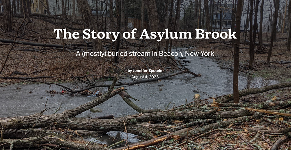 Story of Asylum Brook